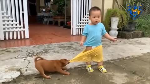 Funny animal attack. When you laugh until tomorrow.