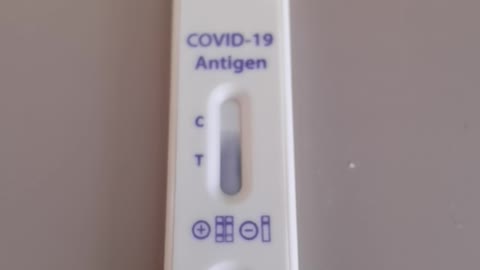 Antigen Test real time