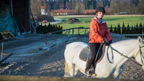 Horse rider passing the camera