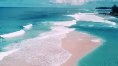 pink sand beach