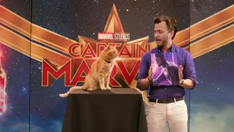 Goose the Cat gets ready for the Captain Marvel Red Carpet!_Cut