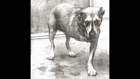 Alice In Chains Full Album - Alice In Chains