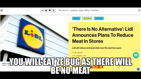 There Is No Alternative’: Lidl Announces Plans To Reduce Meat