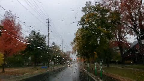 On the Way - a Rainy Autumn Day #autumn #autumnleaves
