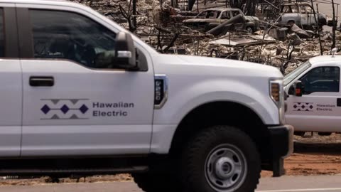 Hawaiian Electric denied accusations that its power lines started the deadly fires on Maui