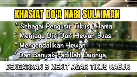 Pengusir Tikus Dan Hewan Buas Berbisa Masuk Dalam Rumah || Doa Nabi Sulaiman