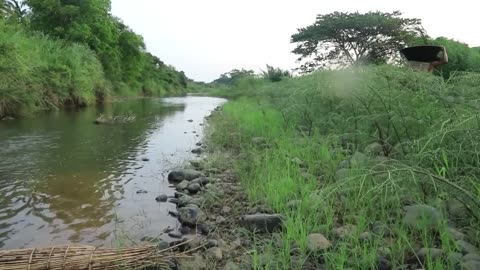 survival in the rainforest, Catch fish using big traps