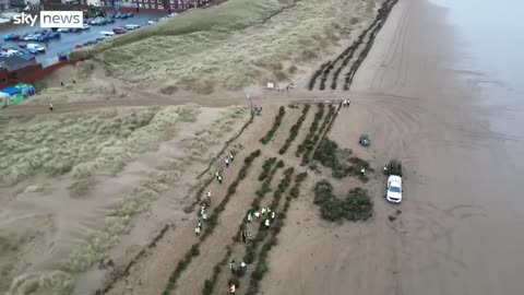 Why are Christmas trees being buried on Blackpool Beach?