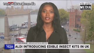 ALDI Introducing Edible Insect Kits In UK