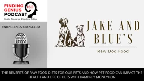 The Benefits of Raw Food Diets for our Pets and How Pet Food Can Impact the Health and Life of Pets