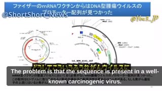 DNA contamination and cancer-causing agent SV40 found in Pfizers covid injections The Expose