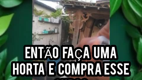 Curso Pomar e Horta Orgânica/ TRANSGÊNICOS DÁ CÂNCER E TODO O SISTEMA APROVOU MERCADO DE CARBONO