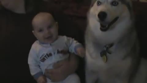 Dog makes Baby laugh