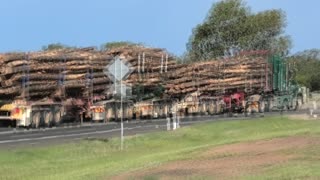 logging australia
