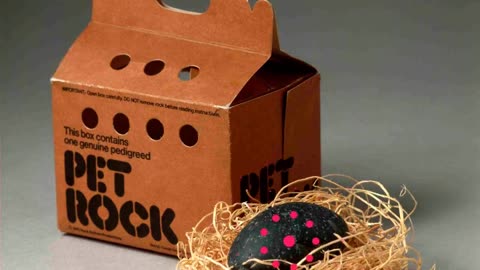 We wanted a pet rock. That's right, we asked for it.