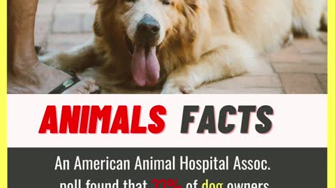 Amazing Random Interesting Dog Facts - That You Should Know | Did You Know
