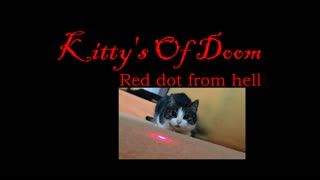 Kitty's Of Doom- Red Dot from hell