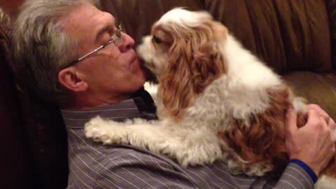 Excited dog loves to welcome owner home
