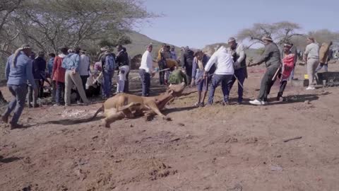 South Africa's Zulu nation coronates new king