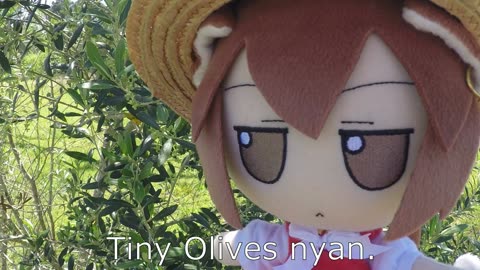 Tiny Olive fumo