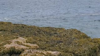 Serene Views - Bar Harbor, Maine