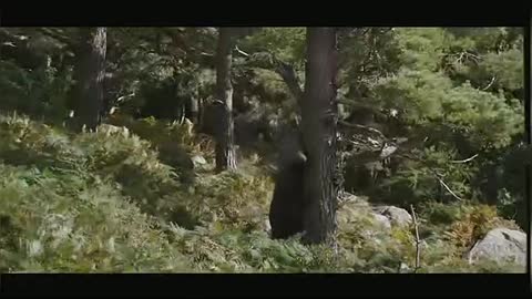 Cocaine Bear Official Trailer [HD]