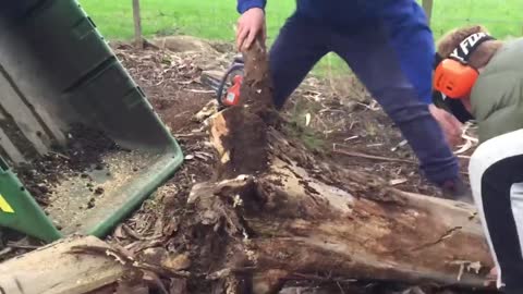 How To Move A Tree Stump _ Woodford Bros