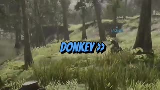 Horse or Donkey?