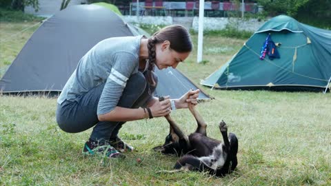 Woman is gently stroking mongrel dog at campfire. People and animal friendship concept