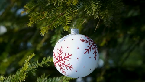 Christmas Decorations That Will Bring Joy To Your Home