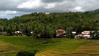 #Bohol Rice Terrace #Guindluman,