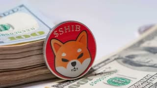 LEAKED: SOMETHING CRAZY IS ABOUT TO HAPPEN TO SHIBA INU!! - SHIB NEWS
