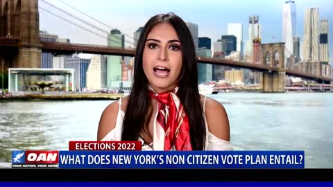 What does N.Y.’s non citizen vote plan entail?