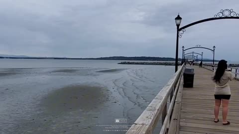 White Rock --the longest pier in Canada