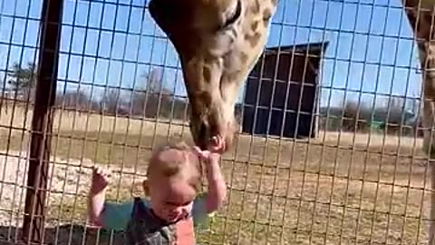 Animals 🐴 love with cute baby