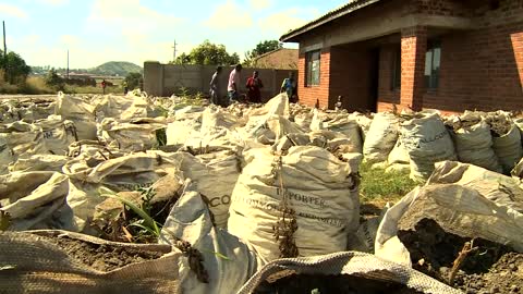 Zimbabwe: Potato Farming in Sacks