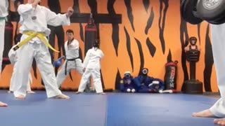 Taekwondo Class