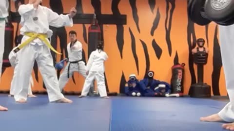 Taekwondo Class