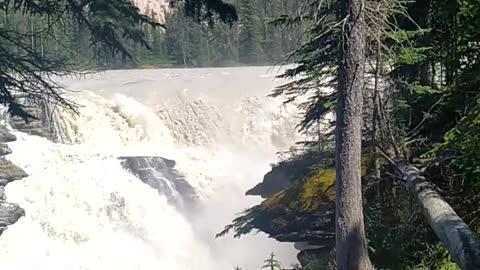 Athabasca Falls