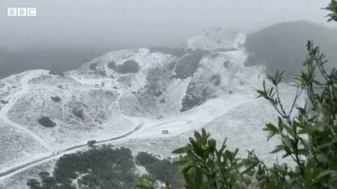 California storm wreaks havoc as snow hits Los Angeles - BBC News