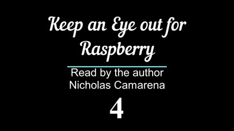 Free Audio Book: "Keep an eye out for Raspberry"