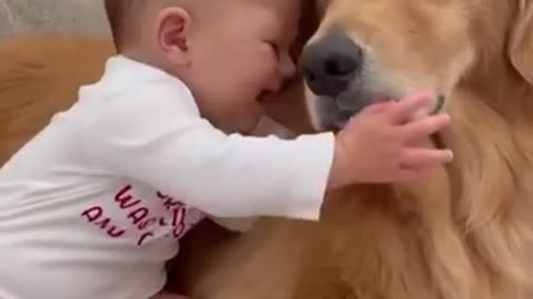 Child and Dog Funny videos