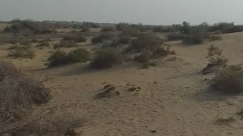 trip to SAHARA Desert