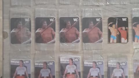 Wrestling sticker collection.