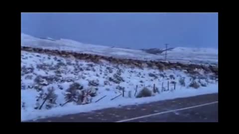 Elk Migration North of Craig Colorado