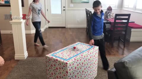 KIDS REACTIONS To Kitten And Puppy Surprise On Christmas Compilation