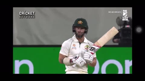 "Lets change the way we watch cricket matches" (Watch fight between Matthew Wade and Neil Wagner)