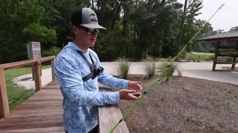 Fishing w/ GIANT Livebait for MONSTER Fish!