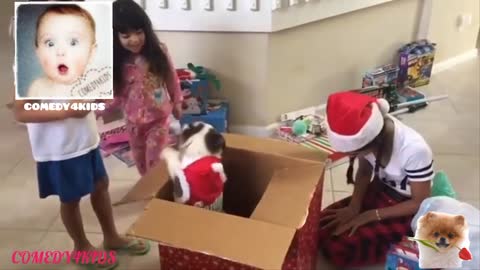 KIDS REACTIONS To Kitten And Puppy Surprise On Christmas Compilation / cute funny comedy/baby vides