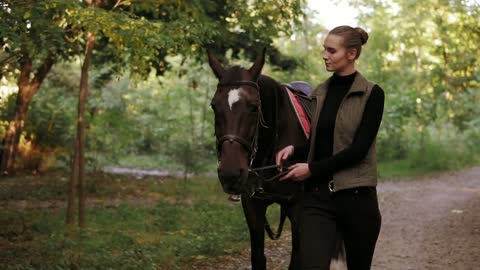 Young beautiful woman is petting a stunning brown horse